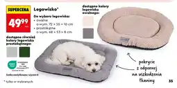 Biedronka Legowisko owalne Activ'Pet oferta