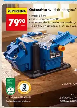 Biedronka Ostrzałka wielofunkcyjna Niteo oferta