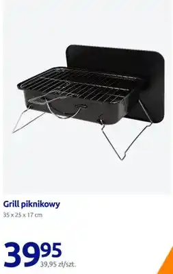 Action Grill piknikowy 35x25x17 cm oferta