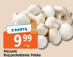 E.Leclerc Pieczarki oferta