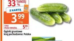 E.Leclerc Ogórki gruntowe polskie oferta