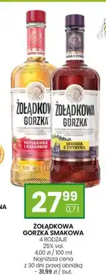 Twój Market Likier Żołądkowa Gorzka Smakowa Truskawka i Rabarbar oferta