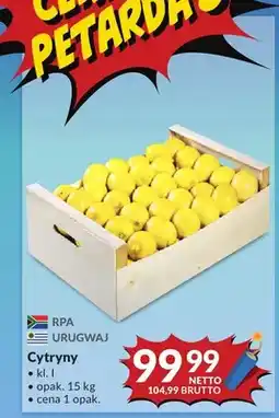 Makro Cytryny świeże oferta