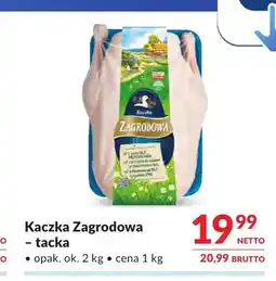 Makro Kaczka tacka oferta