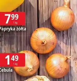 E.Leclerc Cebula oferta