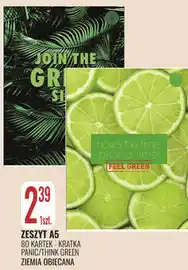 E.Leclerc Zeszyt A5 Panic/Think Green Ziemia Obiecana oferta