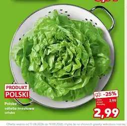 Kaufland Sałata masłowa polska oferta