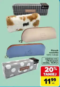Carrefour Piórnik saszetka różne rodzaje oferta