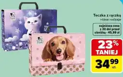Carrefour Teczka z rączką oferta