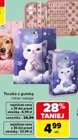 Carrefour Teczka z gumką oferta