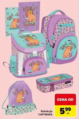 Carrefour Kolekcja capybara oferta