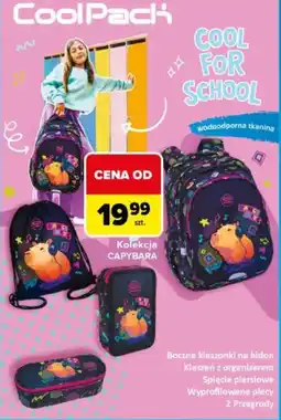 Carrefour Kolekcja capybara oferta