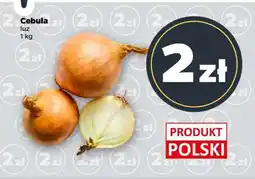 Netto Cebula luz oferta