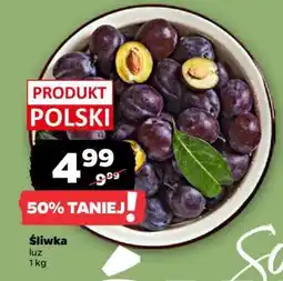 Netto Śliwka luz oferta