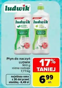 Carrefour LUDWIK oferta
