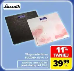 Carrefour ŁUCZNIK BS-973 X oferta