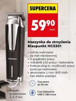 Biedronka Maszynka do strzyżenia Blaupunkt HCS301 oferta