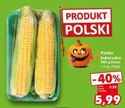 Kaufland Polska kukurydza 500 g tacka oferta