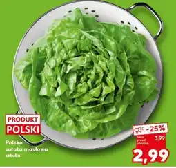 Kaufland Polska sałata masłowa oferta