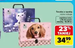 Carrefour Teczka z rączką Cleo & Frank oferta