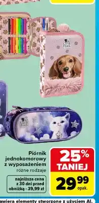 Carrefour Piórnik jednokomorowy z wyposażeniem Cleo & Frank oferta