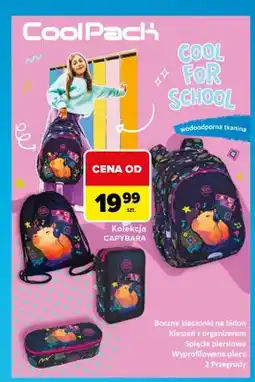 Carrefour Kolekcja Capybara CoolPack oferta