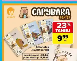 Carrefour Kołonotes A5 Capybara Wikam oferta