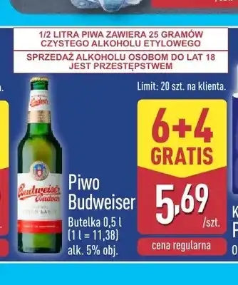 Piwo Budweiser