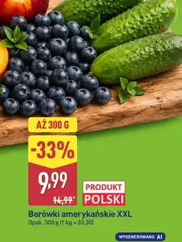 ALDI Borówki amerykańskie XXL polskie oferta
