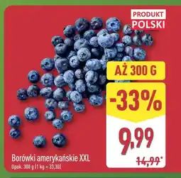 ALDI Borówki amerykańskie XXL oferta