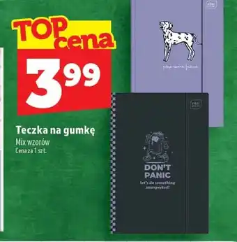 Teczka na gumkę Interdruk