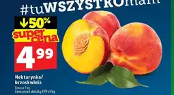 Topaz Nektarynka oferta