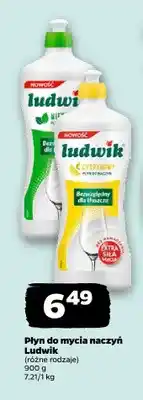 Netto Płyn do mycia naczyń Ludwik miętowy oferta