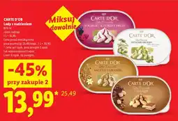 Lidl Lody jogurtowo-owocowe Carte D'Or Yoghurt & Forest Fruit oferta