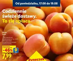 Lidl Morele luzem Ryneczek Lidla oferta