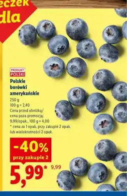 Lidl Borówki amerykańskie polskie oferta