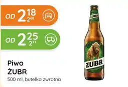 Eurocash Piwo ŻUBR oferta