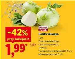 Lidl Polska kalarepa oferta