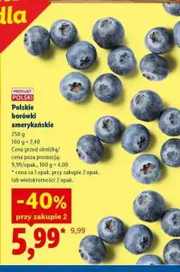 Lidl Polskie borówki amerykańskie oferta