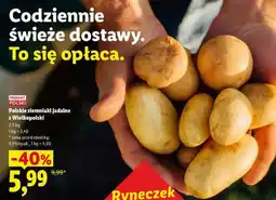 Lidl Polskie ziemniaki jadalne z Wielkopolski oferta