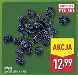ALDI Jeżyny oferta