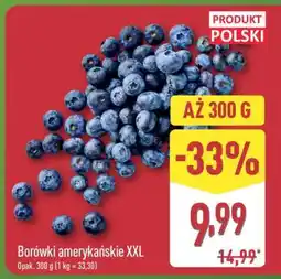 ALDI Borówki amerykańskie XXL oferta