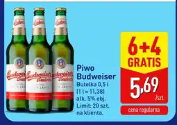 ALDI Piwo Budweiser oferta