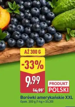 ALDI Borówki amerykańskie XXL oferta
