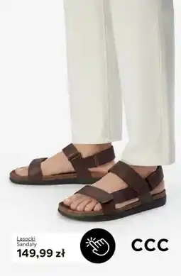 CCC Sandały Lasocki oferta