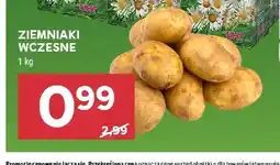 Stokrotka Ziemniaki wczesne oferta