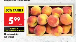Biedronka Brzoskwinia oferta