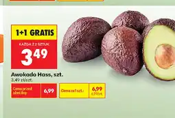 Biedronka Awokado Hass oferta