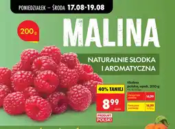 Biedronka Malina polska oferta