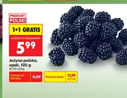 Biedronka Jeżyna polska oferta